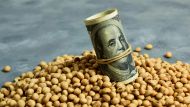 Sube la soja y ahora baja el dólar a futuro: ¿cómo sigue?