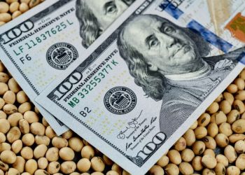 Tras la baja de retenciones, la Mesa de Enlace mira el dólar: el pedido para Caputo