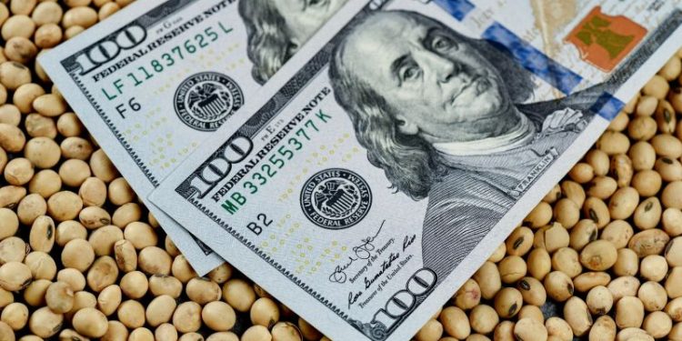 Tras la baja de retenciones, la Mesa de Enlace mira el dólar: el pedido para Caputo