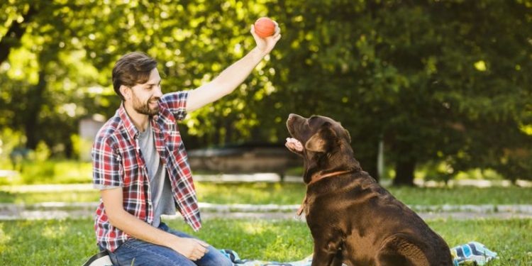 Una investigación científica reveló que los perros sincronizan sus ondas cerebrales con las de sus dueños cuando juegan