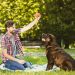 Una investigación científica reveló que los perros sincronizan sus ondas cerebrales con las de sus dueños cuando juegan