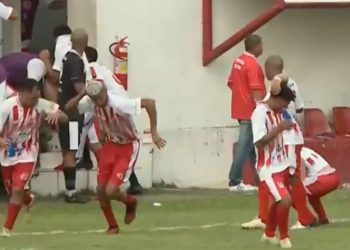 Video: atacaron las abejas y se cortó el partido