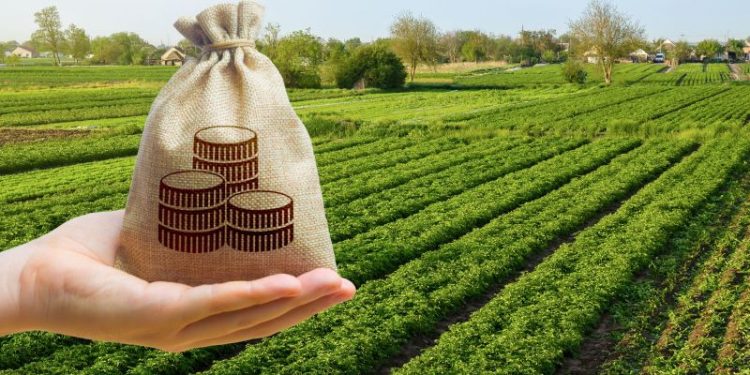 Positivo: Ya rige la baja de retenciones, cuánto caerán los impuestos al agro y las economías regionales, los detalles