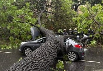 Tormenta y vientos de hasta 100 km por hora: Árboles caídos, techos destrozados, vuelos desviados y más de 330.000 usuarios sin luz
