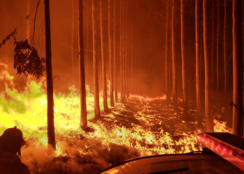 Corrientes enfrenta devastadores incendios mientras se intensifican los operativos para contener las llamas-90 mil hectáreas bajo el fuego-