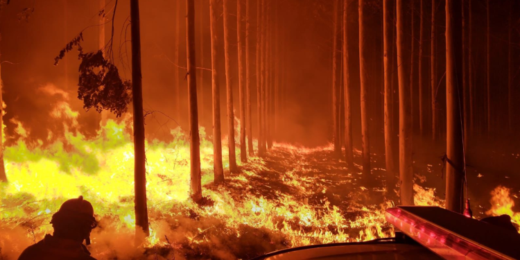 Corrientes enfrenta devastadores incendios mientras se intensifican los operativos para contener las llamas-90 mil hectáreas bajo el fuego-