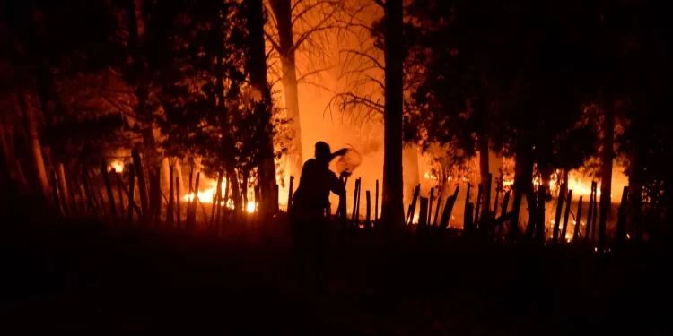 Catastrófica situación por los incendios en El Bolsón