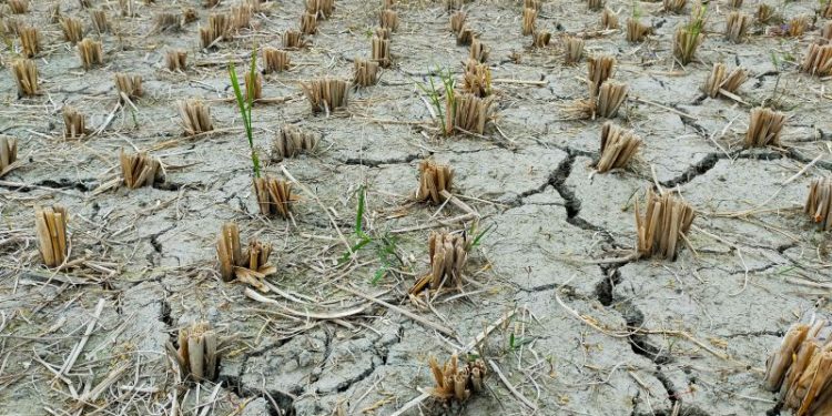 Acuerdo de París: ¿cuánto pone en juego la economía argentina si se retira del pacto climático?