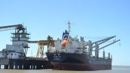 Sólido crecimiento de las exportaciones desde el puerto de Bahía Blanca