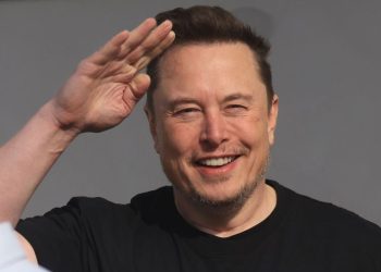 Alternativa para Alemania, el caballo de Troya con el que Musk busca devorar la Unión Europea