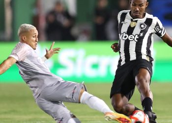 Botafogo antes de la Recopa con Racing: qué quedó del campeón de la Libertadores