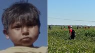 Búsqueda de Lian: los dramáticos minutos previos a la desaparición del niño de 3 años