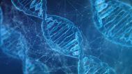Revolución en la genética: científicos descubren una proteína en el ADN que explica cómo los humanos aprendieron a hablar