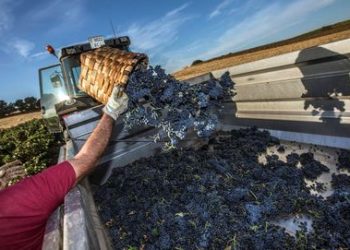 CEOE y CEPYME coinciden en acabar con las notificaciones 24 horas de la Administración Pública