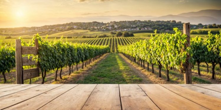 Cuando el mar y la montaña se encuentran: la propuesta de la Guía Michelin para viajar con todos los sabores