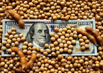 El BCRA aprovecha los dólares del agro para comprar más en el mercado