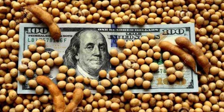 El BCRA aprovecha los dólares del agro para comprar más en el mercado