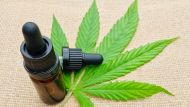 Científicos argentinos descubrieron qué efectos beneficiosos tiene el aceite de cannabis y para qué usarlo