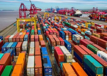 El Gobierno derogará el Sistema Estadístico de Importaciones: qué implica