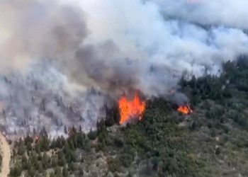El Gobierno puso paños fríos a las críticas del nuevo subsecretario de Ambiente sobre la prevención del fuego