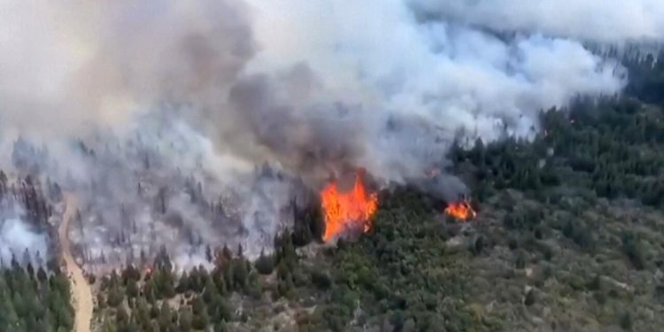 El Gobierno puso paños fríos a las críticas del nuevo subsecretario de Ambiente sobre la prevención del fuego