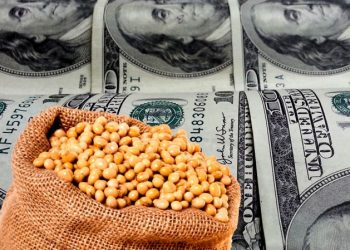 El sector que empuja las exportaciones y el que está bajo riesgo por el “dólar barato”