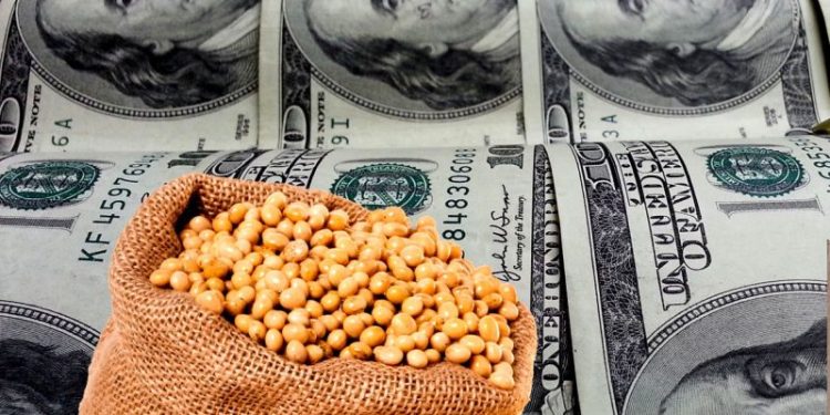 El sector que empuja las exportaciones y el que está bajo riesgo por el “dólar barato”