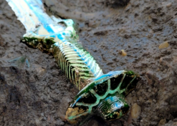 Encuentran la Excalibur medieval perdida y se confirma la leyenda más grande de todos los tiempos