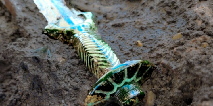 Encuentran la Excalibur medieval perdida y se confirma la leyenda más grande de todos los tiempos