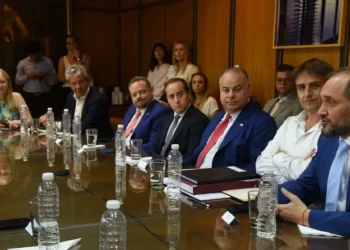 IMPSA: figuras y conexiones políticas polémicas. Empresa quebrada por Venezuela y ahora controlada por venezolanos. Los nombres detrás del velo