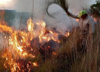 Corrientes enfrenta devastadores incendios mientras se intensifican los operativos para contener las llamas-90 mil hectáreas bajo el fuego-