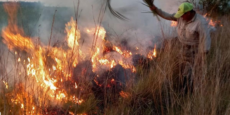 Corrientes enfrenta devastadores incendios mientras se intensifican los operativos para contener las llamas-90 mil hectáreas bajo el fuego-