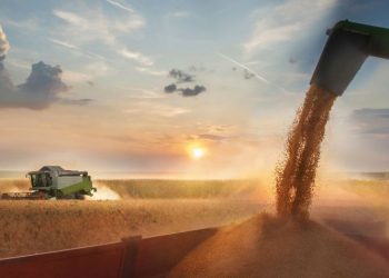 Impuesto Inmobiliario Rural: cómo acceder a los beneficios para pagar menos en 2025