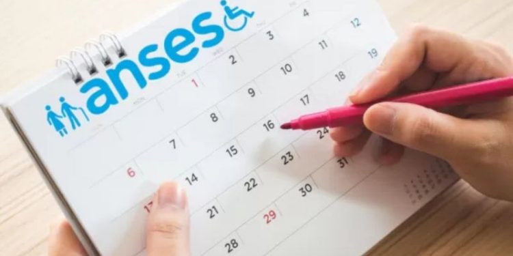 Jubilados, pensionados, AUH y SUAF ANSES: hoy abre el calendario de pagos de febrero, ¿cuándo y cuánto cobro?