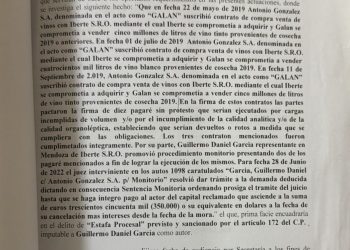 La Justicia de San Martín imputó por estafa procesal a Guillermo García, ex titular del INV