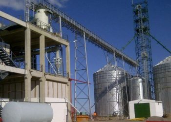 Lejos del podio: Argentina pierde participación en un producto que creció 75% en el mundo