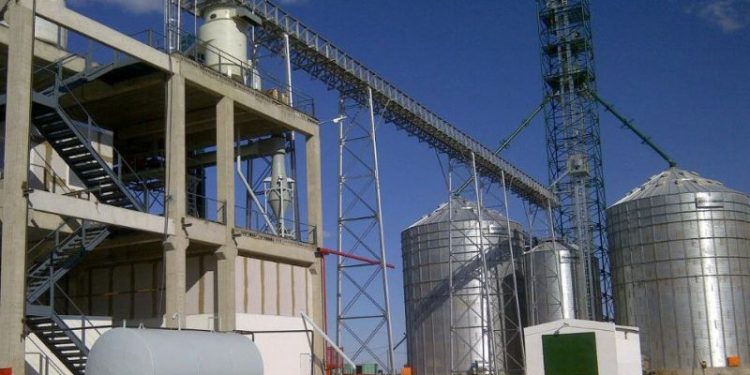 Lejos del podio: Argentina pierde participación en un producto que creció 75% en el mundo