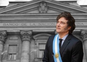 Los próximos pasos y las trabas para poder privatizarlo: qué modelo extranjero buscan