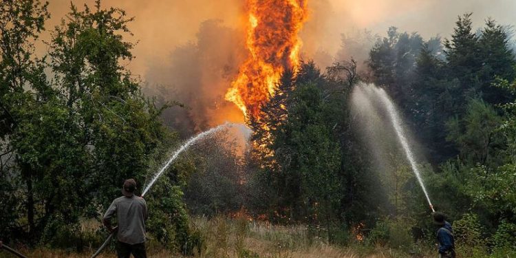 Miles de hectáreas arrasadas: la estrategia del Gobierno y los reclamos ambientales