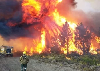 Incendios forestales en Argentina: Análisis detallado y retos pendientes