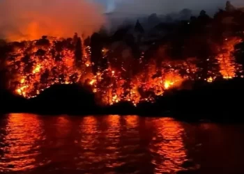 Imparable incendio en Nahuel Huapi: más de 230 efectivos combaten las llamas desde hace 40 días con pequeños recursos hidrantes aéreos