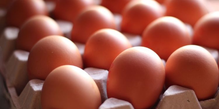 Ni una semana ni un mes: cuánto pueden durar los huevos en la heladera