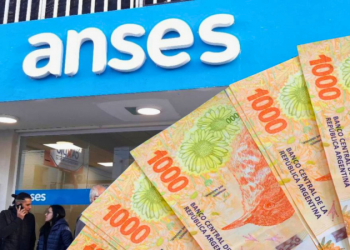Nuevo bono ANSES: quienes podrán cobrar $ 130.000 en febrero