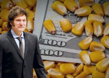 Pese a baja de retenciones, el agro liquidó menos dólares: por qué