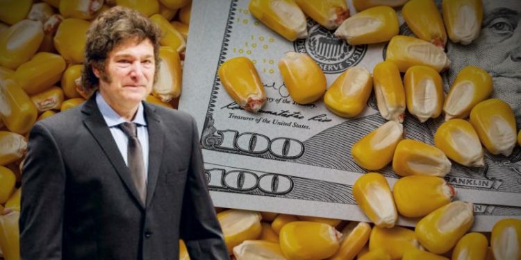 Pese a baja de retenciones, el agro liquidó menos dólares: por qué