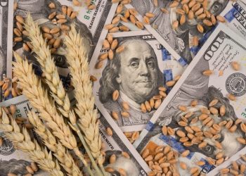 Retenciones: los nuevos sectores que se suman al pedido por la baja impositiva