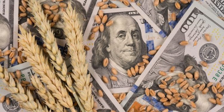 Retenciones: los nuevos sectores que se suman al pedido por la baja impositiva