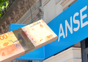 SUAF ANSES: cuánto cobrás en febrero 2025, según tu sueldo