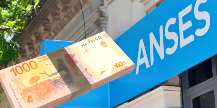 SUAF ANSES: cuánto cobrás en febrero 2025, según tu sueldo
