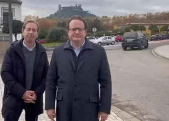 ¿Cómo mejorar el cultivo del olivar? Un nuevo proyecto de la Universidad de Córdoba reúne medidas para su eficiencia y sostenibilidad